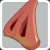Groin